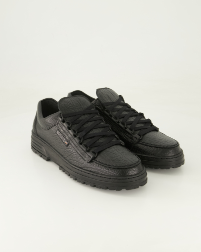 Cruiser