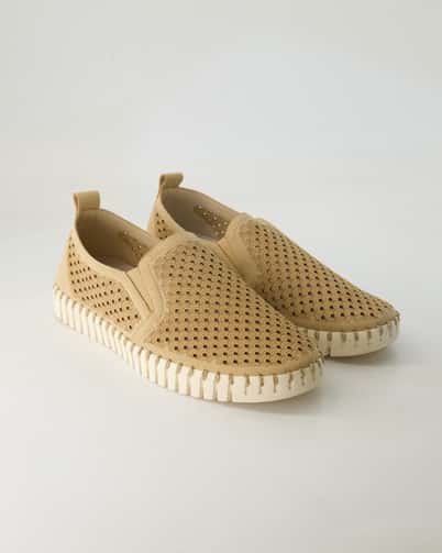 Farbe Beige