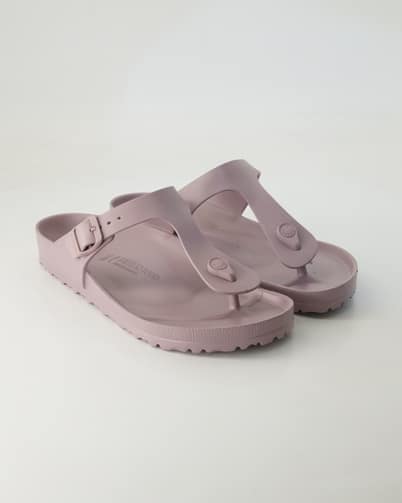 Farbe Lila