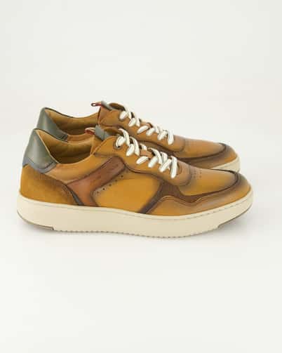 Ambitious Aktif Sneaker low  in Braun