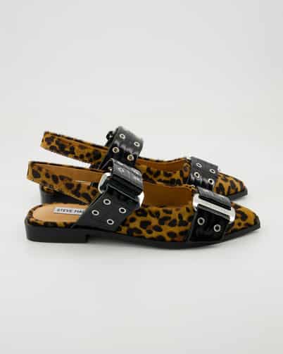 Steve Madden Grand Ave-L Ballerinas in Schwarz