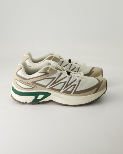 Salomon XT-EVR M Wanderschuhe in Beige